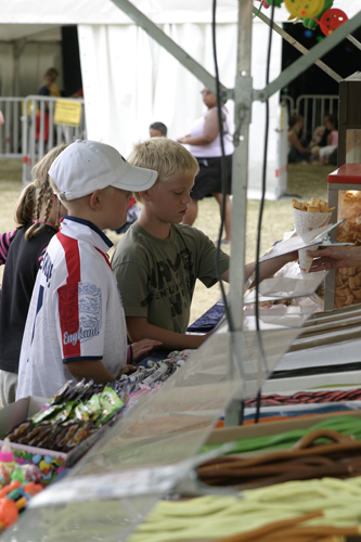 Publik - 2005 - SommarRock Svedala