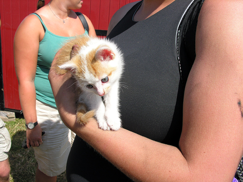 Funktionärer - 2006 - SommarRock Svedala