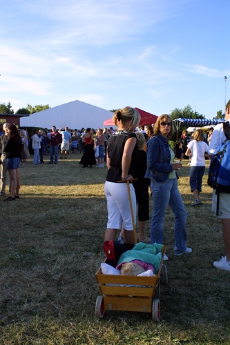 Publik - 2006 - SommarRock Svedala