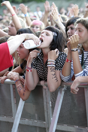 Publik - 2006 - SommarRock Svedala