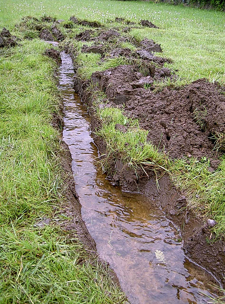 Funktionärer - 2007 - SommarRock Svedala