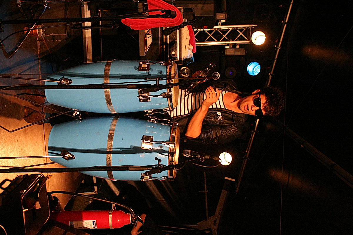 The Sonnets - 2008 - SommarRock Svedala