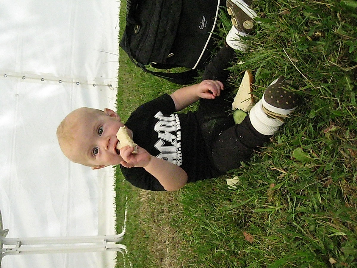 Publik - 2008 - SommarRock Svedala