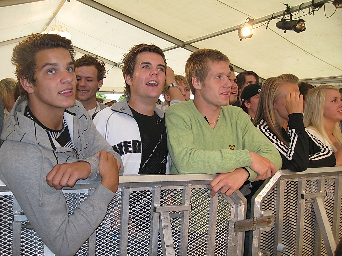 Publik - 2008 - SommarRock Svedala