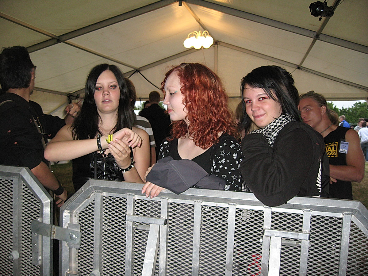 Publik - 2008 - SommarRock Svedala