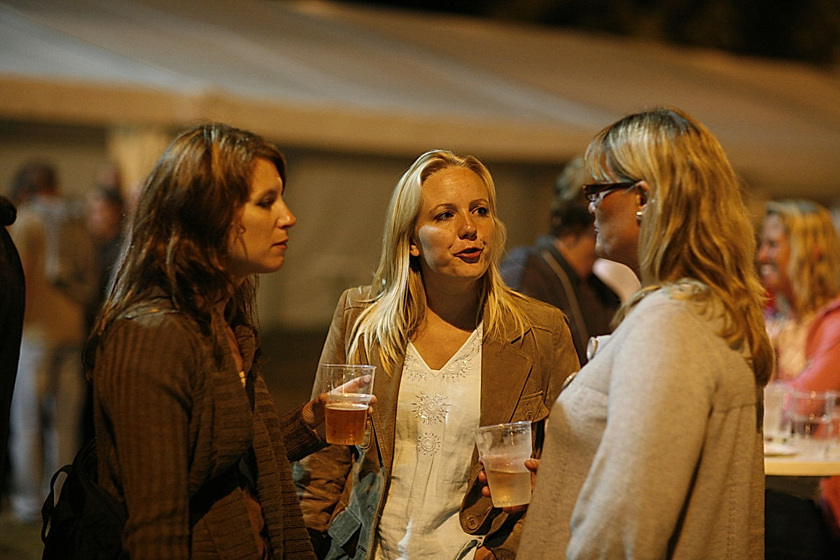 Publik - 2008 - SommarRock Svedala