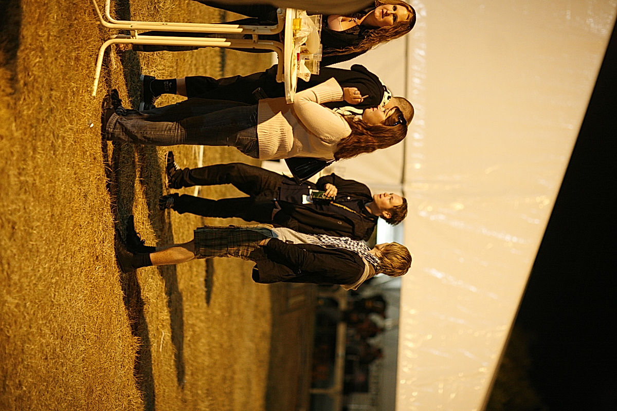 Publik - 2008 - SommarRock Svedala