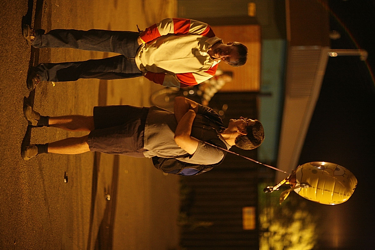 Publik - 2008 - SommarRock Svedala