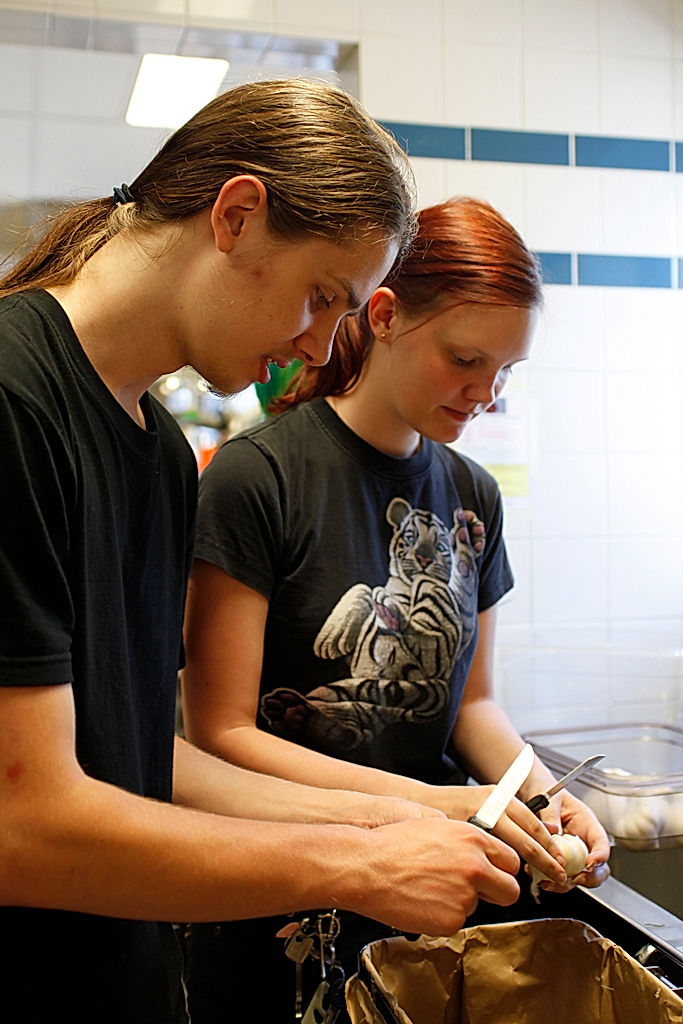 Funktionärer - 2009 - SommarRock Svedala