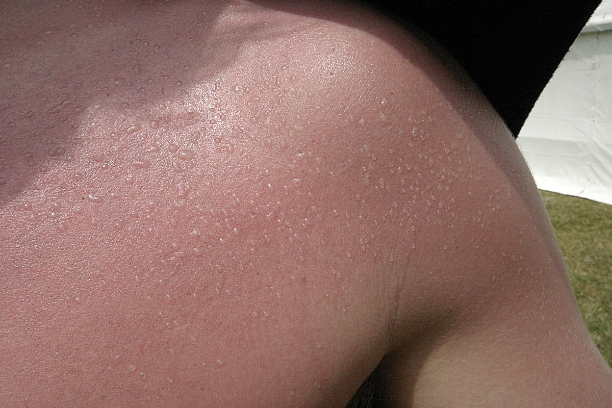 Funktionärer - 2009 - SommarRock Svedala