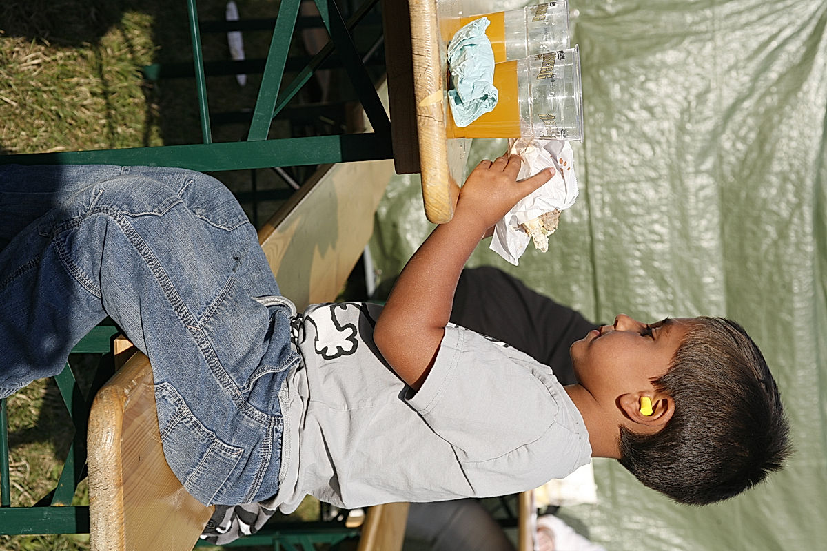 Publik - 2009 - SommarRock Svedala