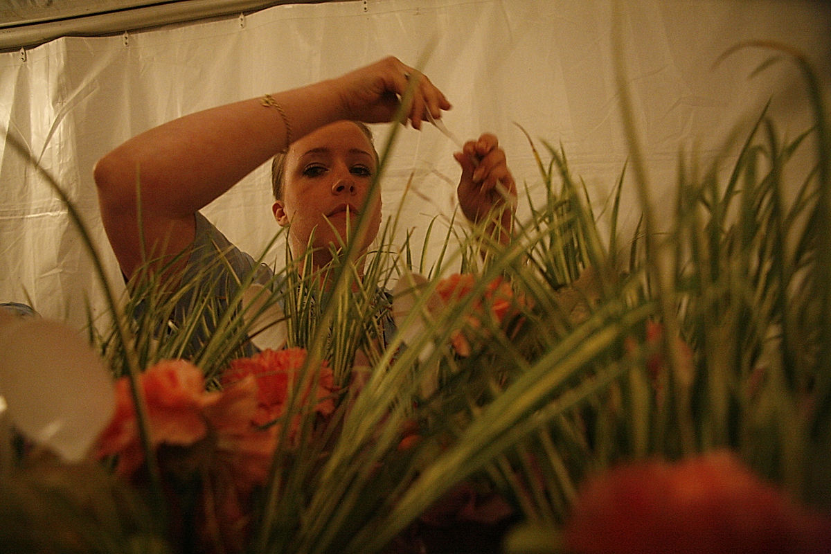 Funktionärer - 2009 - SommarRock Svedala