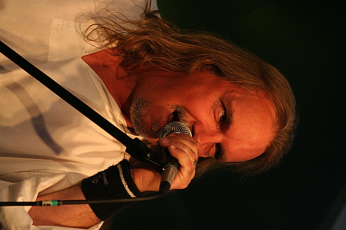 Turning Leaf - 2009 - SommarRock Svedala