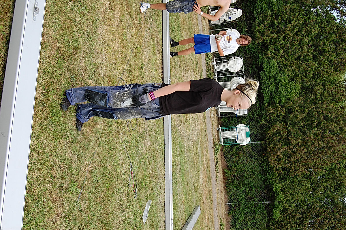Funktionärer - 2010 - SommarRock Svedala
