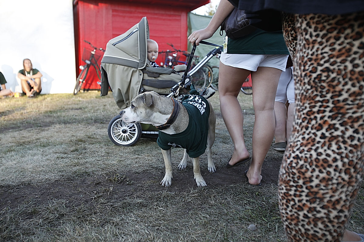 Funktionärer - 2010 - SommarRock Svedala
