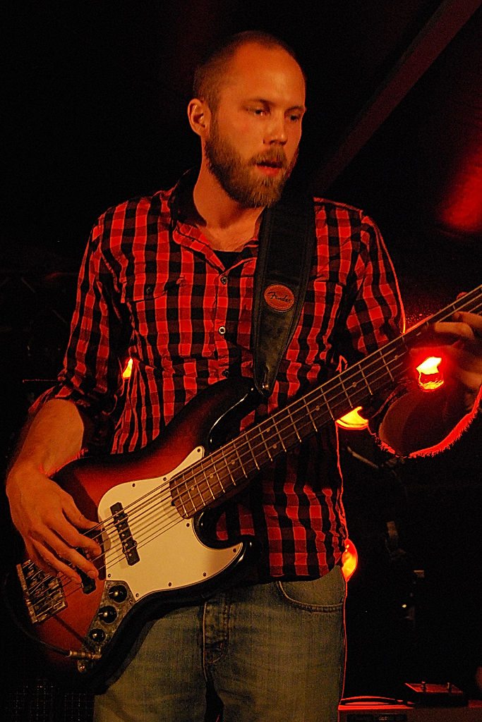 The Medicinal Storytellers - 2010 - SommarRock Svedala