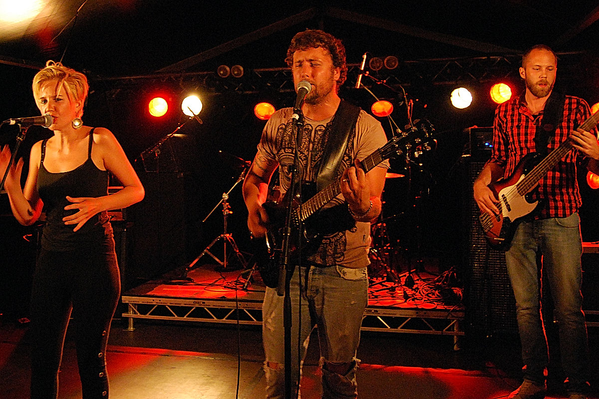 The Medicinal Storytellers - 2010 - SommarRock Svedala