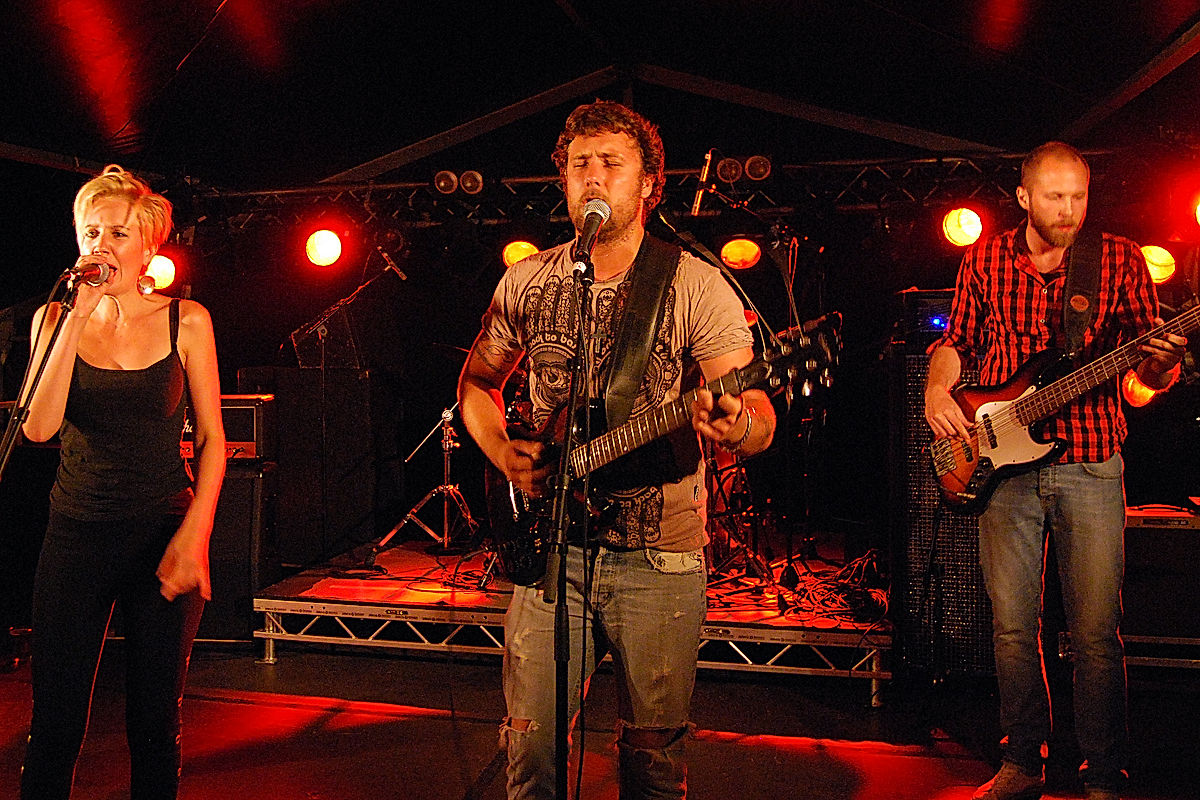 The Medicinal Storytellers - 2010 - SommarRock Svedala