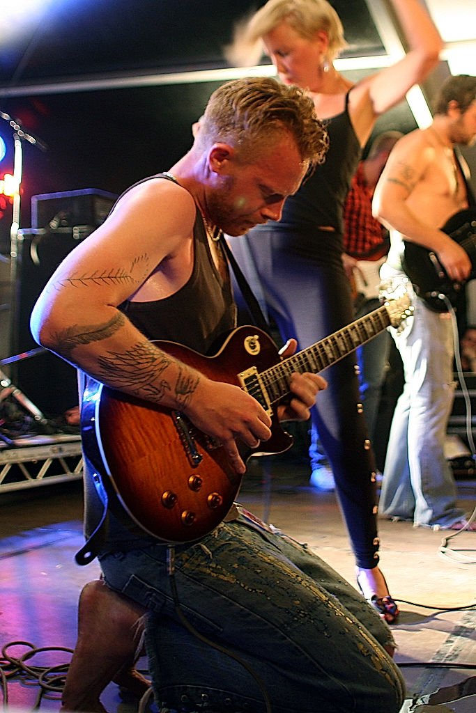 The Medicinal Storytellers - 2010 - SommarRock Svedala