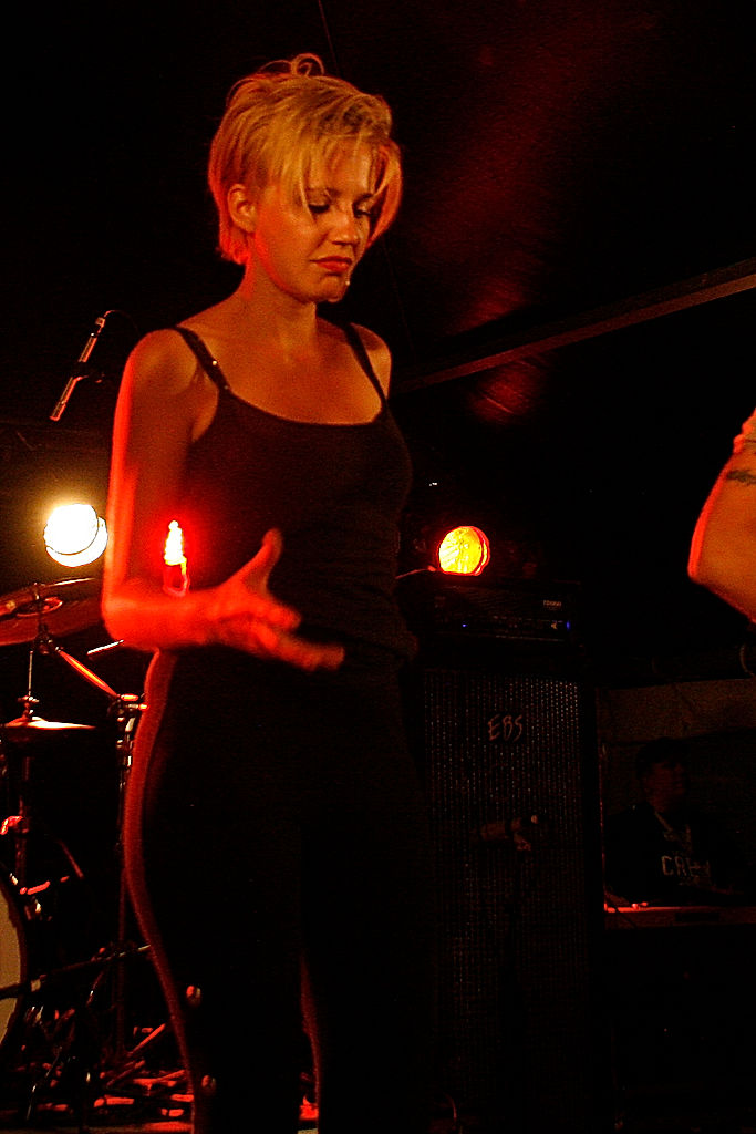 The Medicinal Storytellers - 2010 - SommarRock Svedala