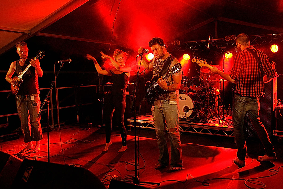 The Medicinal Storytellers - 2010 - SommarRock Svedala