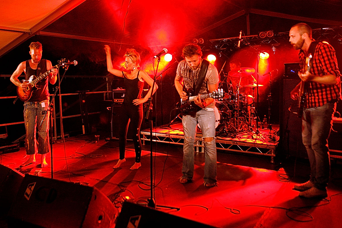 The Medicinal Storytellers - 2010 - SommarRock Svedala