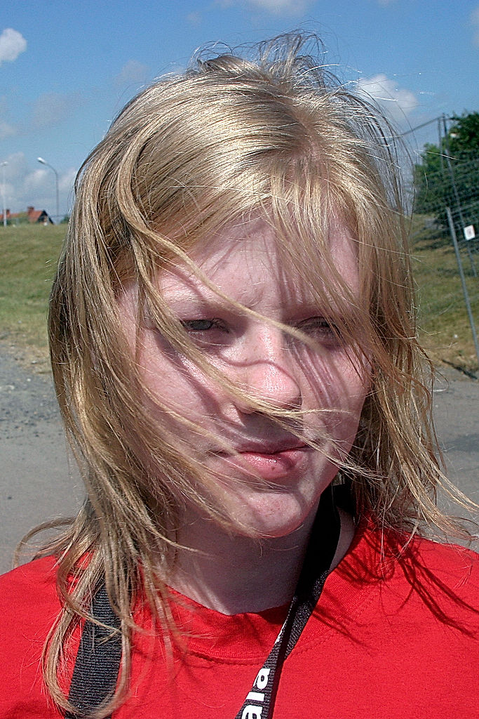 Funktionärer - 2010 - SommarRock Svedala