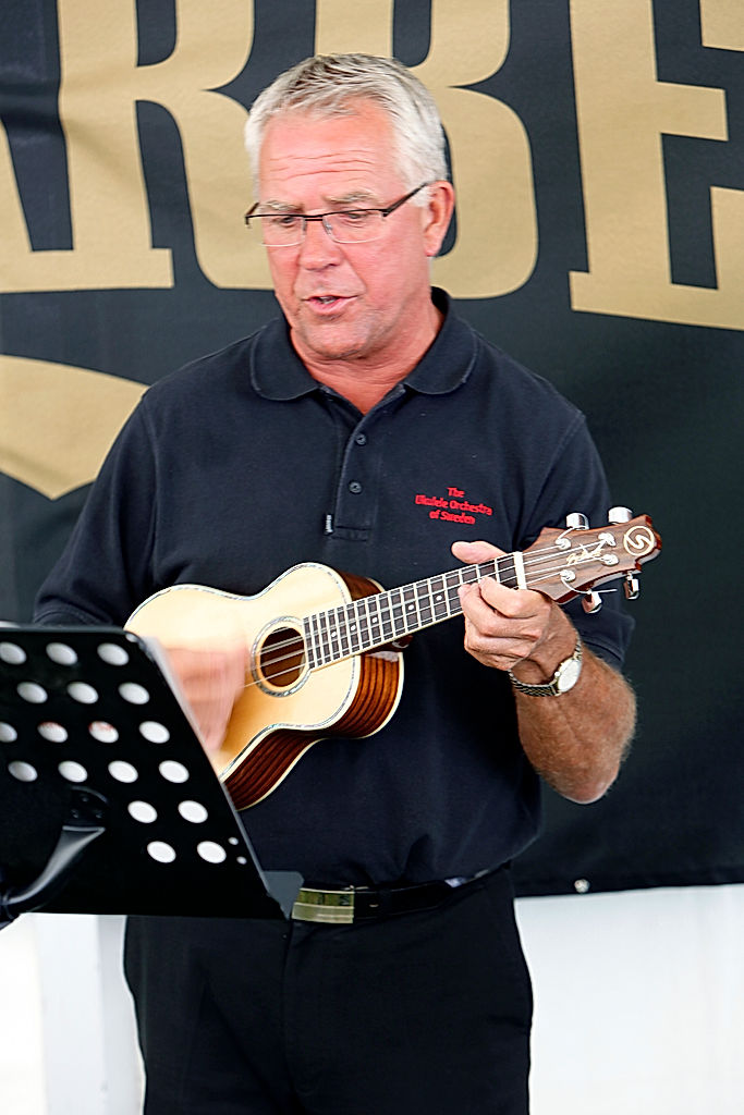 Funktionärer - 2010 - SommarRock Svedala