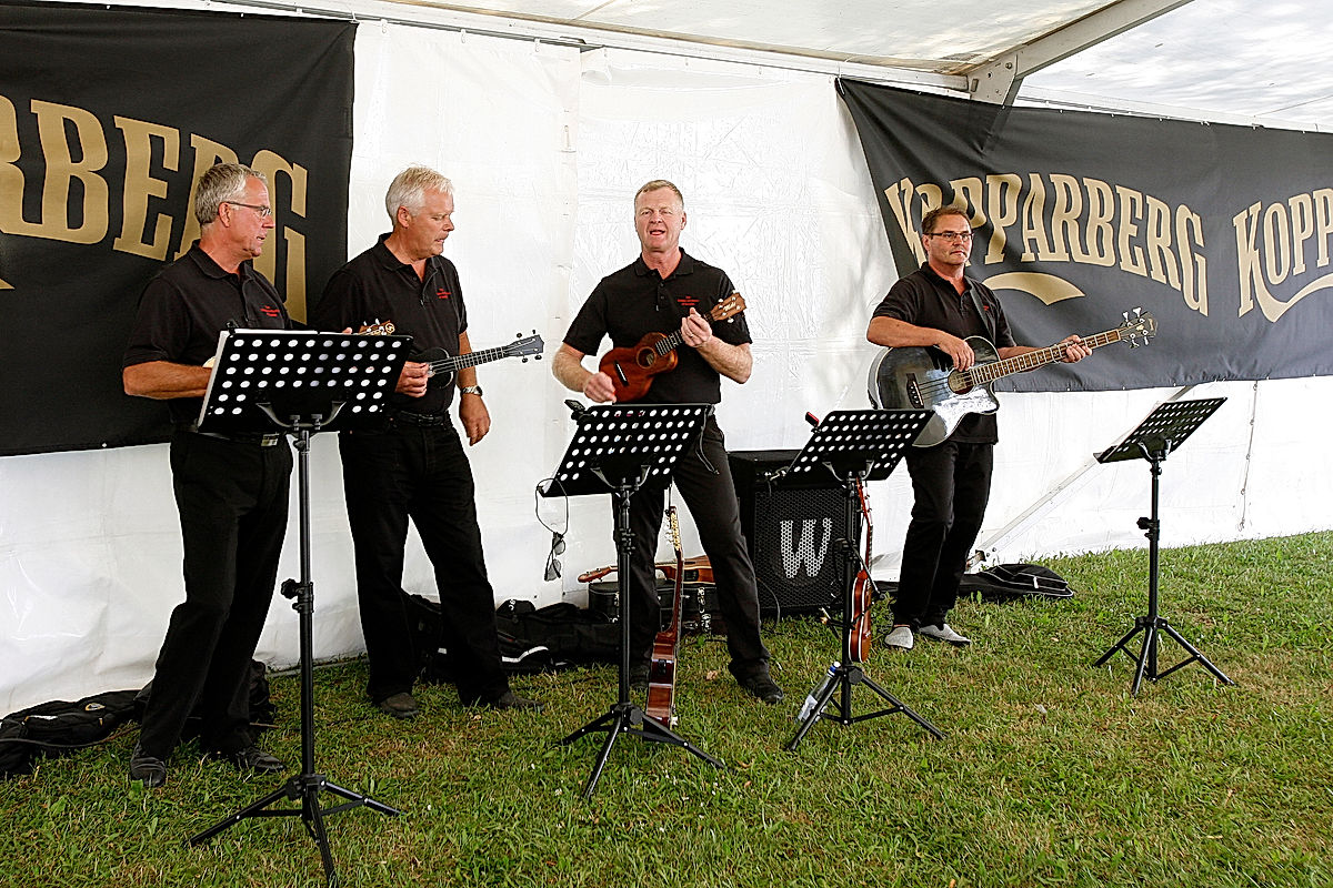 Funktionärer - 2010 - SommarRock Svedala