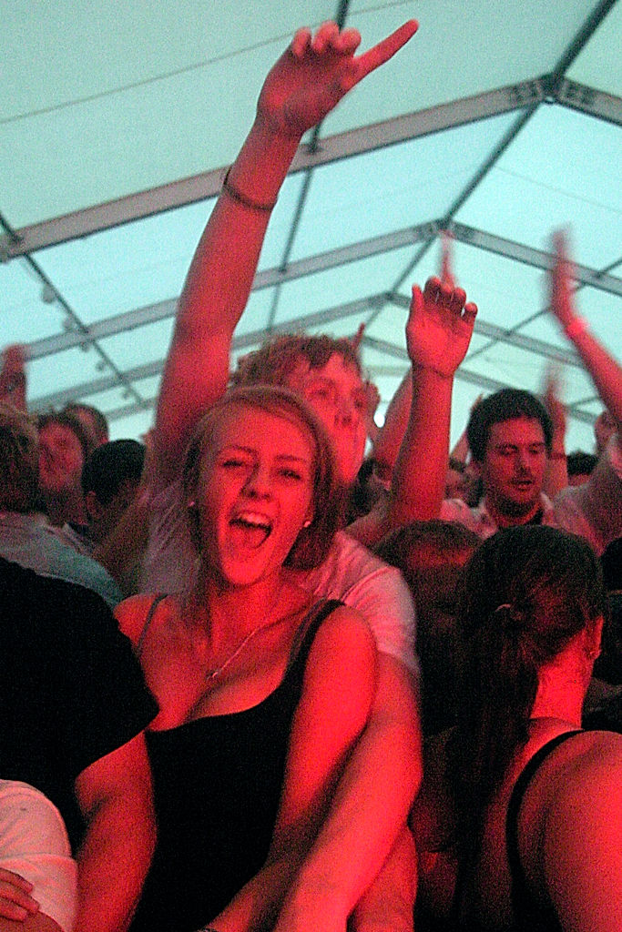 Publik - 2010 - SommarRock Svedala