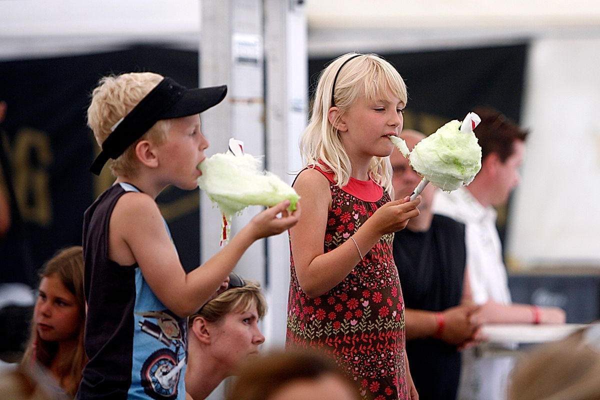Publik - 2010 - SommarRock Svedala
