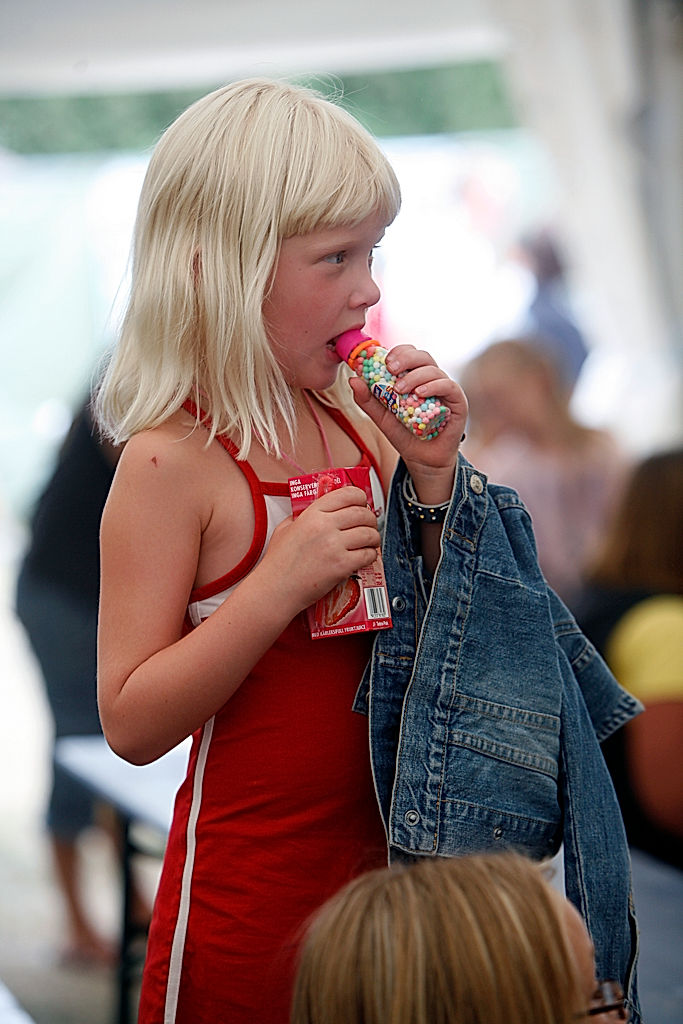 Publik - 2010 - SommarRock Svedala