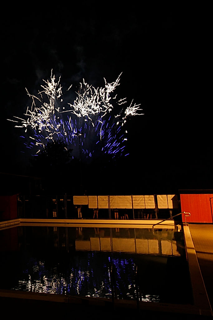Publik - 2010 - SommarRock Svedala