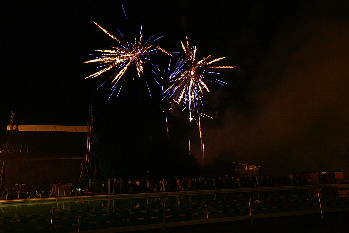 Publik - 2010 - SommarRock Svedala