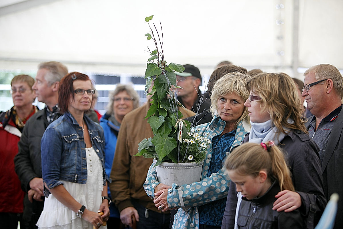 Publik - 2011 - SommarRock Svedala
