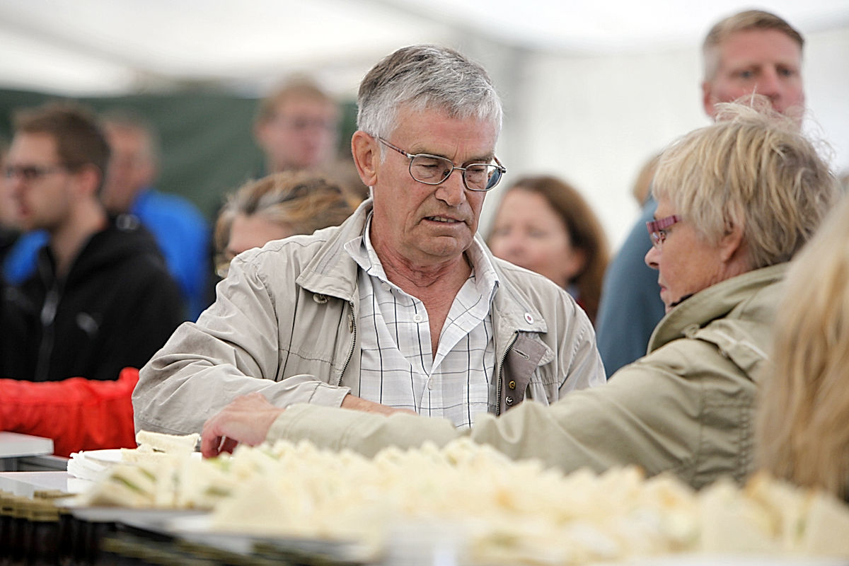 Publik - 2011 - SommarRock Svedala