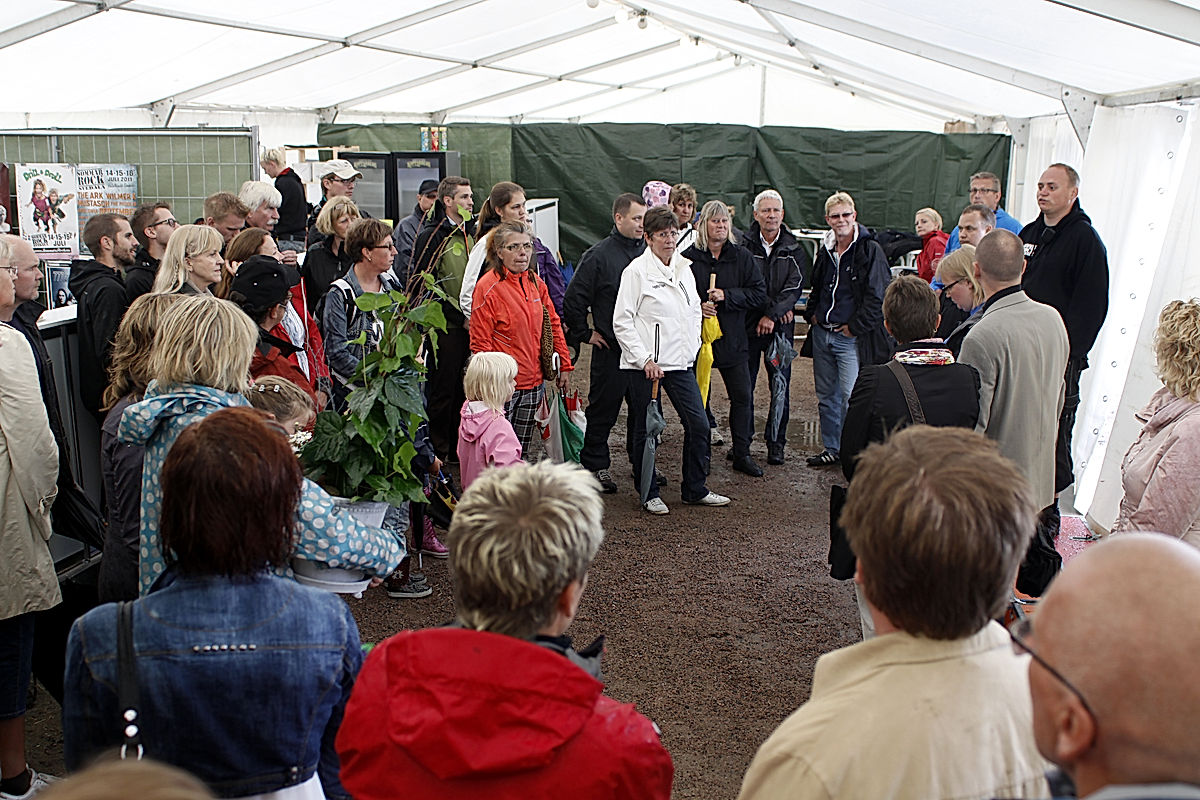Publik - 2011 - SommarRock Svedala