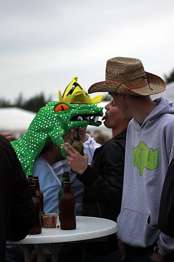 Publik - 2011 - SommarRock Svedala