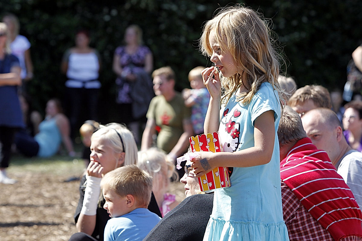 Publik - 2011 - SommarRock Svedala