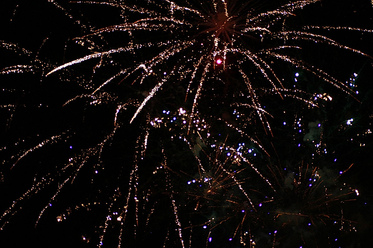 Publik - 2011 - SommarRock Svedala