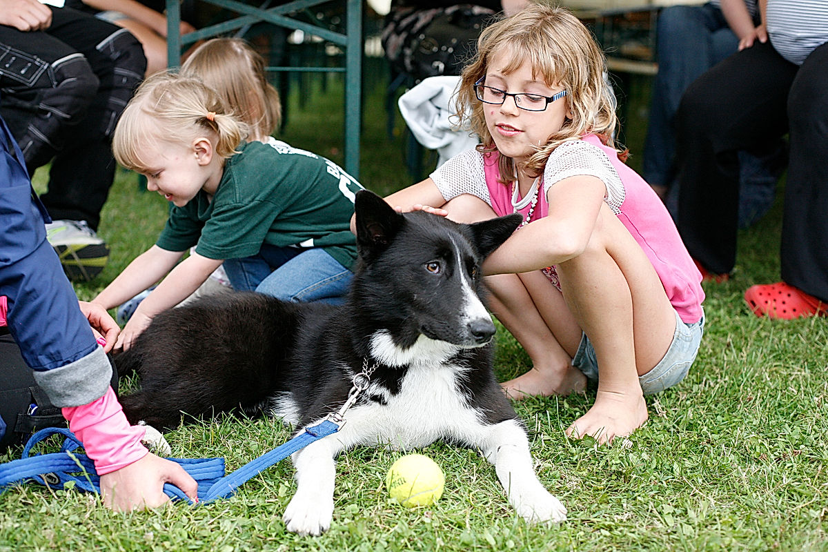 Funktionärer - 2012 - SommarRock Svedala