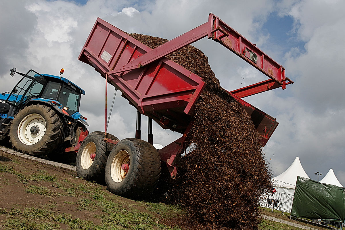 Funktionärer - 2012 - SommarRock Svedala