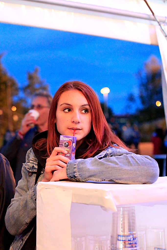 Publik - 2012 - SommarRock Svedala