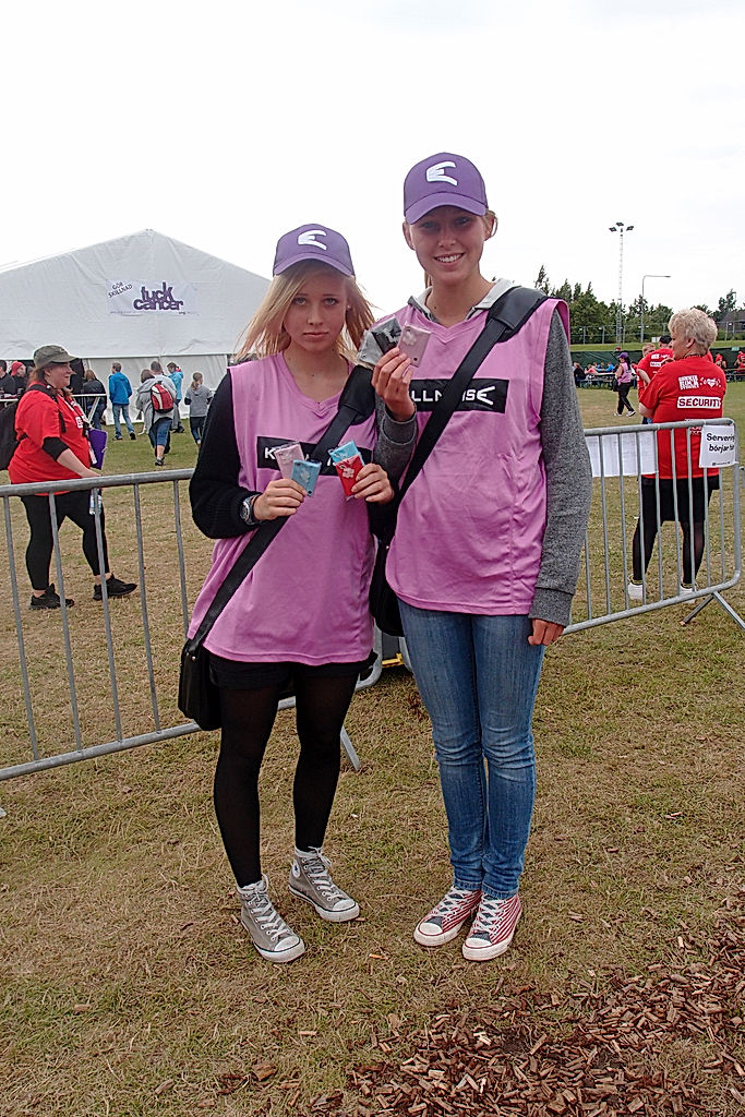 Publik - 2012 - SommarRock Svedala