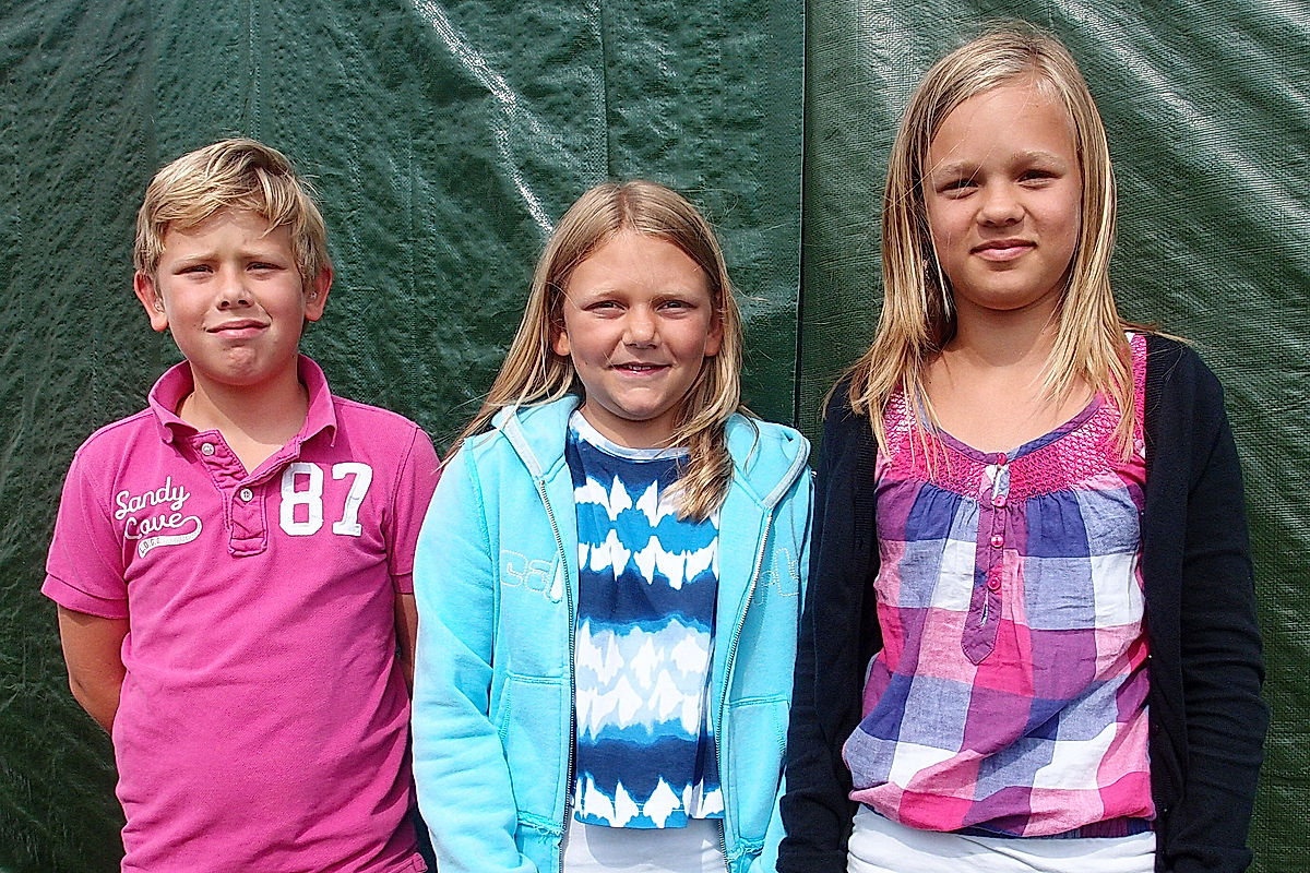 Publik - 2012 - SommarRock Svedala