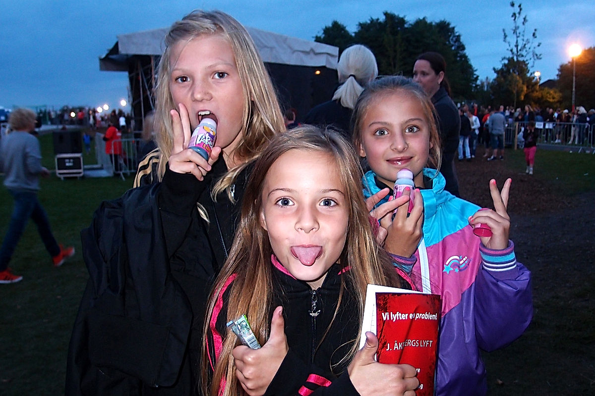 Publik - 2012 - SommarRock Svedala