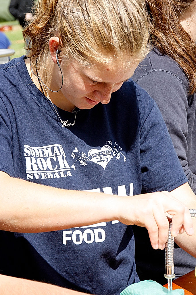 Funktionärer - 2012 - SommarRock Svedala
