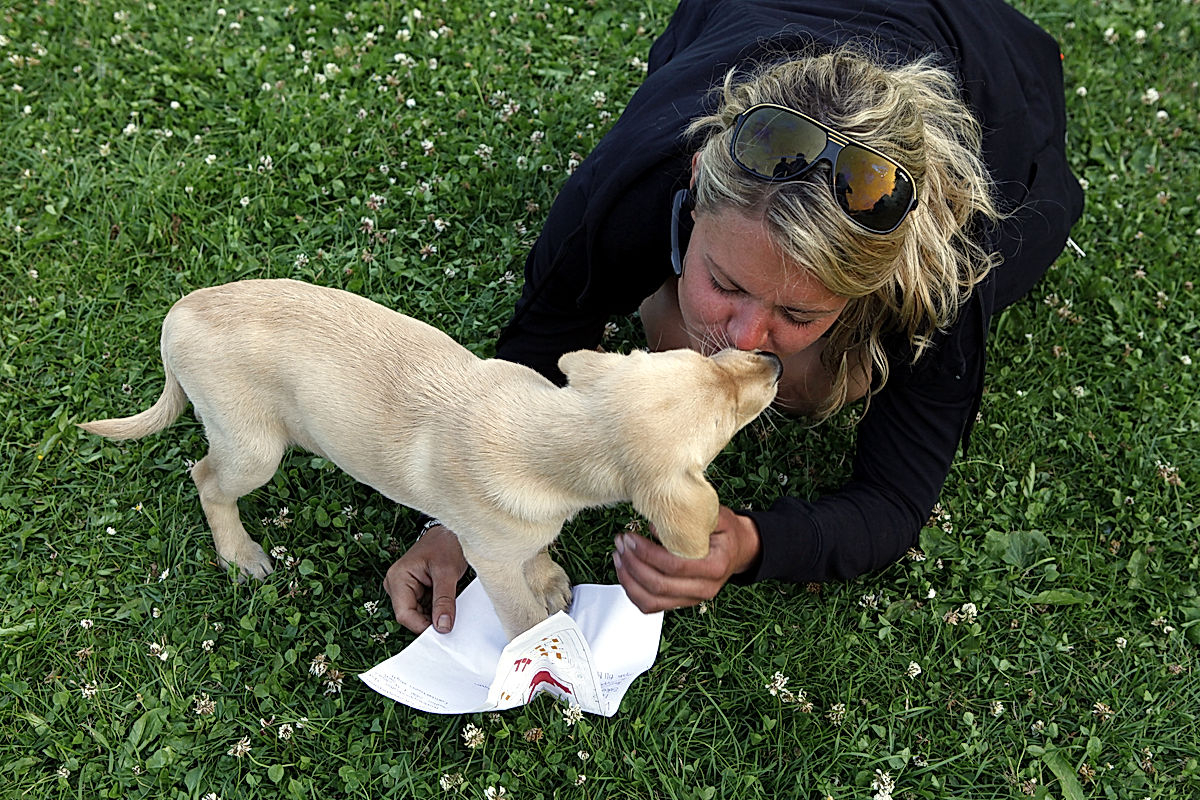 Funktionärer - 2013 - SommarRock Svedala