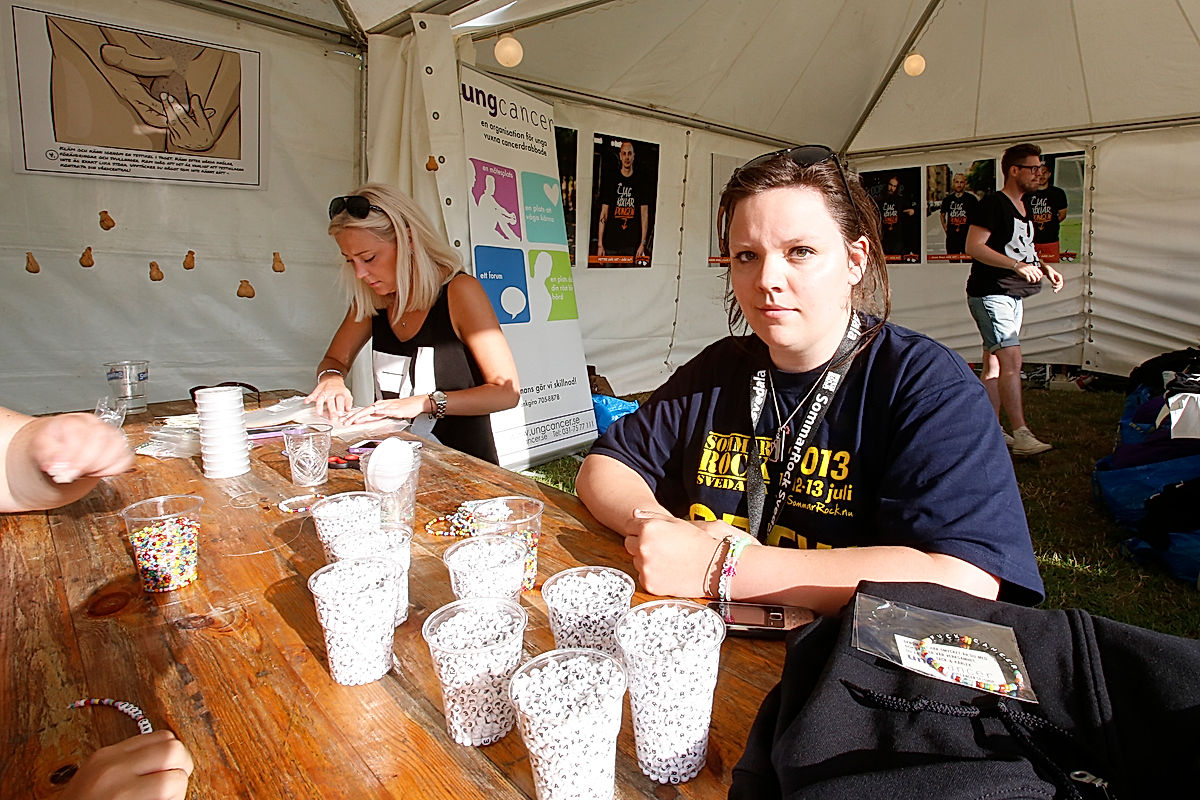 Publik - 2013 - SommarRock Svedala