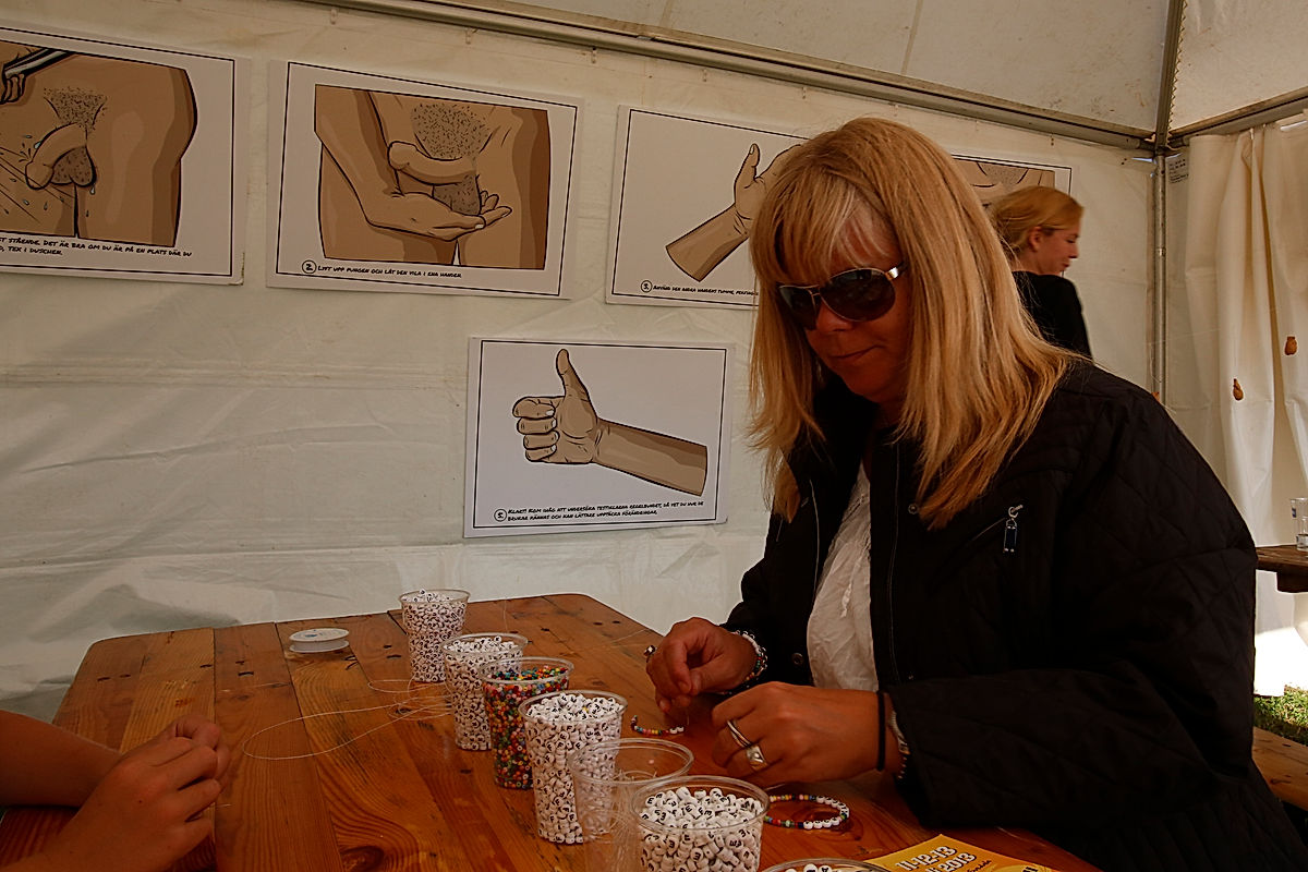 Publik - 2013 - SommarRock Svedala